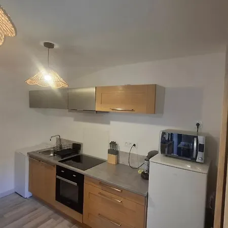 La Petite Brezegue Apartment
